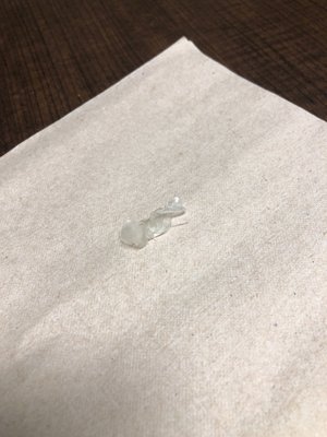 Plastic/glue in my wrapper and sandwich