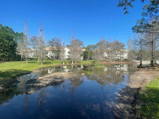 Waterchase Estates, Westchase, West Tampa