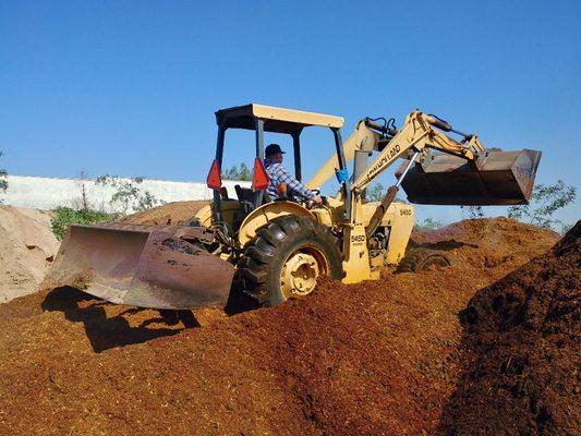 The Jefe mounting a fresh mound of compost (Horse manure and bedding)