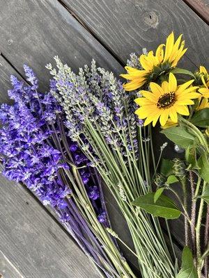 New flowers are being harvested for both fresh and dried bouquets. Call to book a u-pick experience.