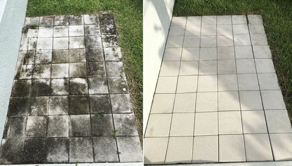 These pavers were actually slippery because the algae growth was so thick!