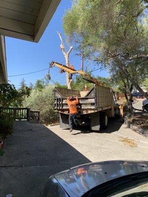 Lifting the heavy trunk with this special truck