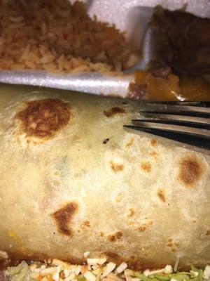 Baby roach right in the middle of my burrito!! Disgusting!!