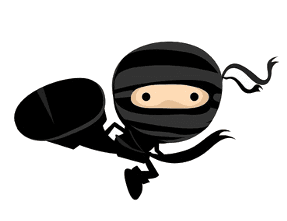 Computer Service Ninja - Small Business IT Solutions