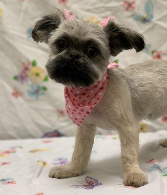 This sweet girl enjoyed her spa day and left with bows.