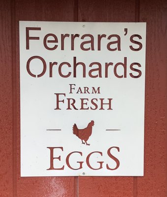 Sign on the chicken coop