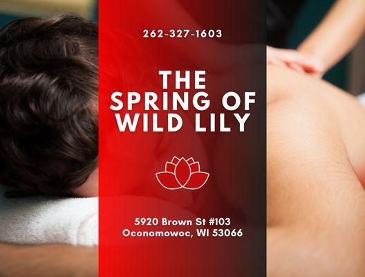 The Spring of Wild Lily