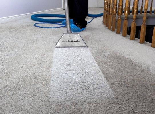 High traffic carpet cleaning