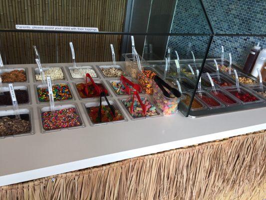 Toppings for fro-yo