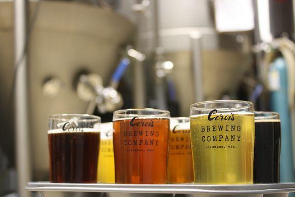 A 6-Flight of Cercis brews.