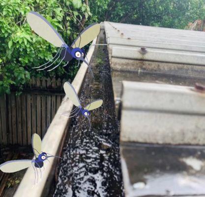 Don't let sitting water ruin your Summer fun with yucky mosquitoes! The Brothers that just do Gutters offers gutter cleaning services!