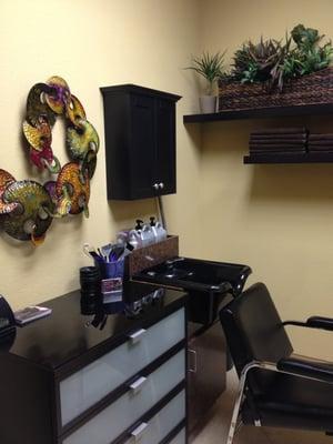 Amira Colby's Salon