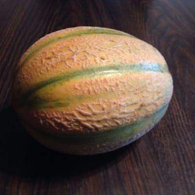 Last Tuscan Melon of the season from our Organic Micro Farm