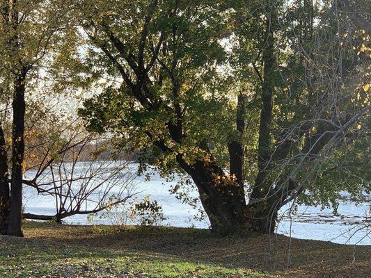 .... the relaxing Shawangunk River, nearby (direct access for canoes etc.)