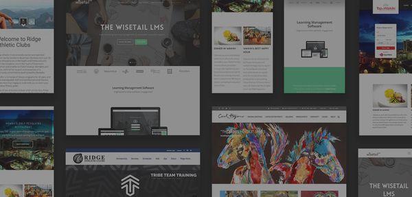 Web Design examples from Big Storm marketing firm, located in Bozeman Montana.