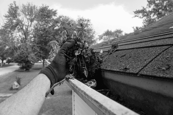 Gutter cleaning