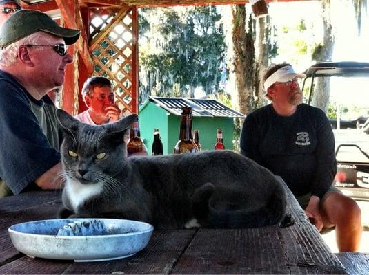 The PanaVista dock kitty.