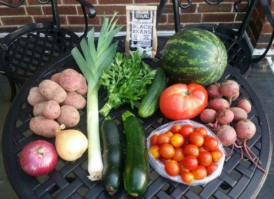 Contents of a medium Harvest Box plus beans add-on