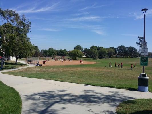 Girls playing Softball in the park.