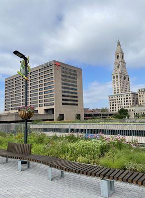 Skyline of Hartford