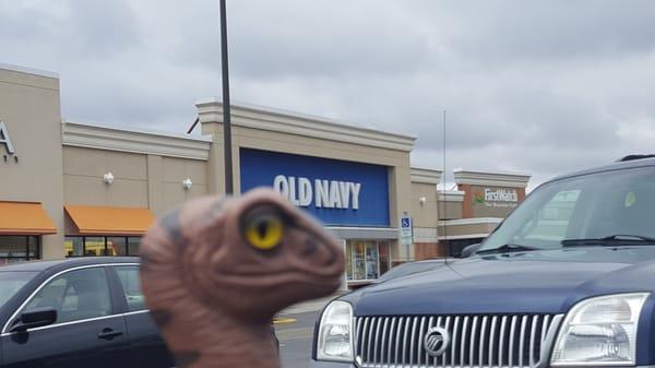 Bob the Raptor Says "I didn't see any old ships here just clothes."