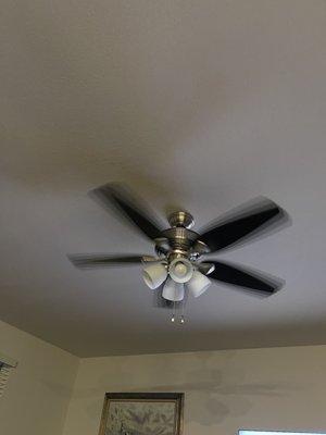 Living room ceiling fan