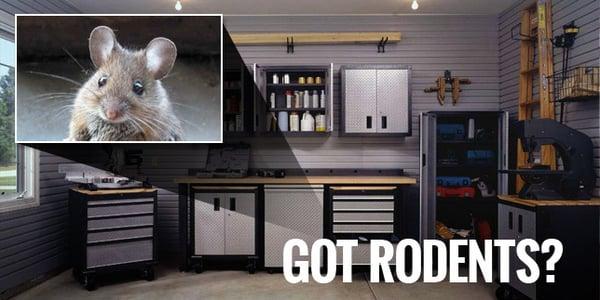 Got Rodents?