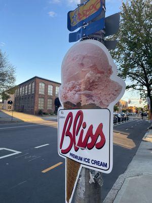 Bliss premium ice cream