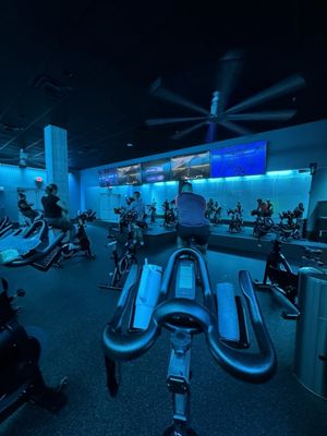 Cycle Studio