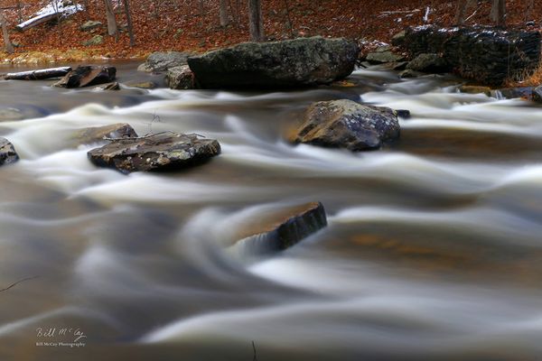 The Saw Creek