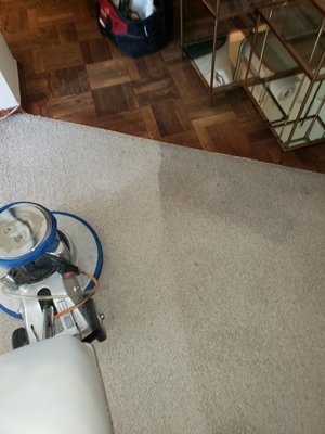 Berber carpet cleaning in stuyvesant town