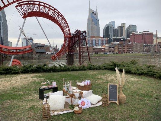 Picnic for 2