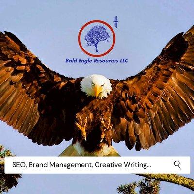 Bald Eagle Resources