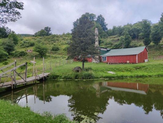 Pond on the farm