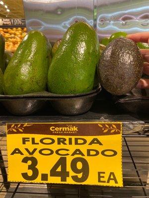 Not an avocado fan so didn't know they exist.  Look at the size difference