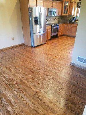 #2 common Red Oak
Early American Stain