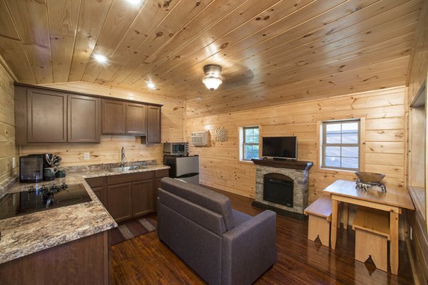 Full kitchen with Stainless appliances, fireplace and pull out sofa