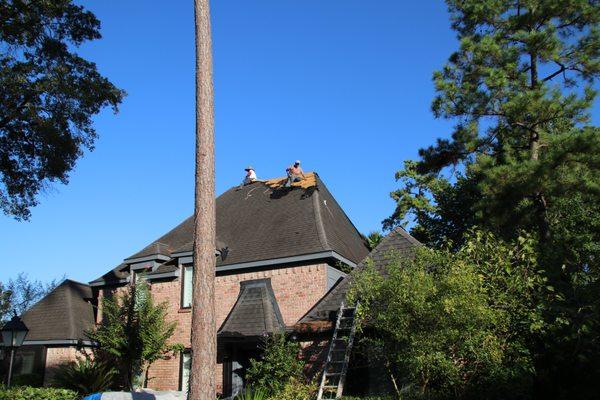 Roof Hail Damage