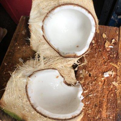 Bring your coconut back to have it cut open !