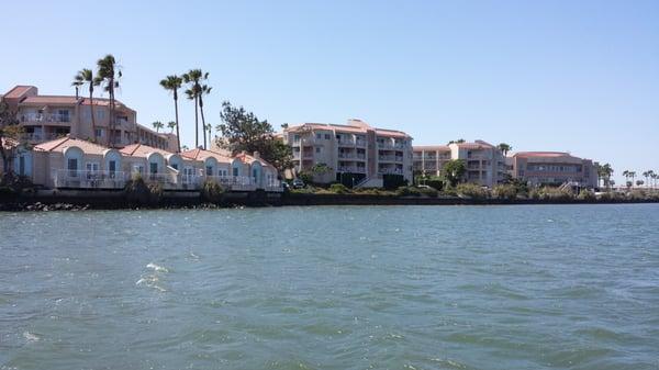 Fishing the flats near Loews Coronado Bay Resort