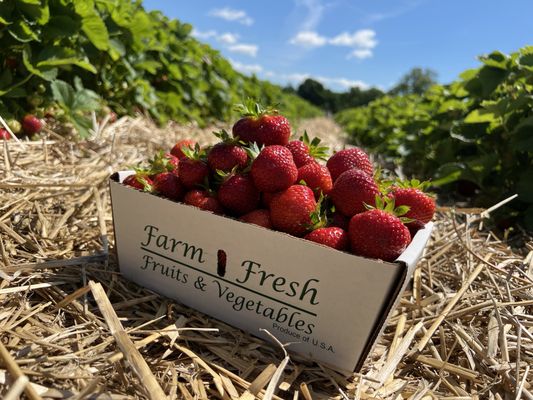 Tougas Family Farm