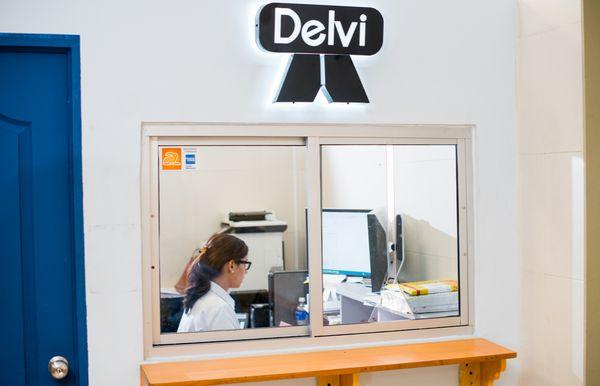 Delvi, Inc.