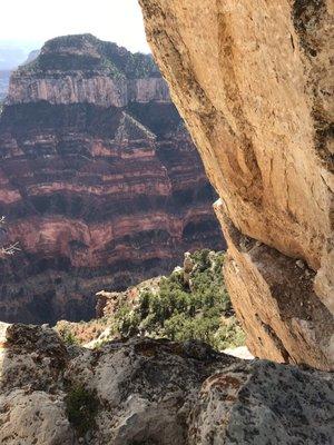 The North rim of the Grand Canyon