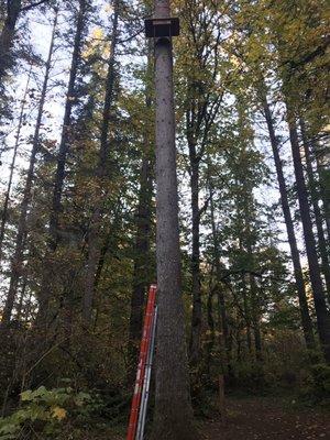 The super sketchy zipline offered by the camp.