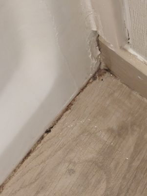 Moldy caulking.