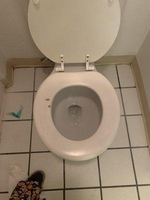 Leaky toilet with disgusting broken seat that was filled with water