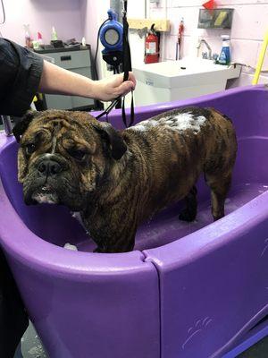 Motya in the tub