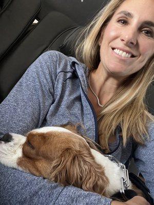 K9 Comfort Inflight Training and Travel