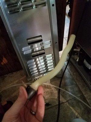 Drain-tubes...another common issue with refrigerators