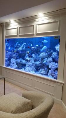 1000gl custom marine fish aquarium 96x48x48